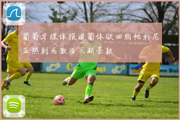 葡萄牙媒体报道葡体欲回购帕利尼亚热刺或激活买断条款