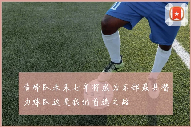 黄蜂队未来七年将成为东部最具潜力球队这是我的首选之路